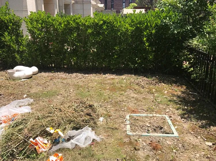 金地意境现代简约花园设计-17