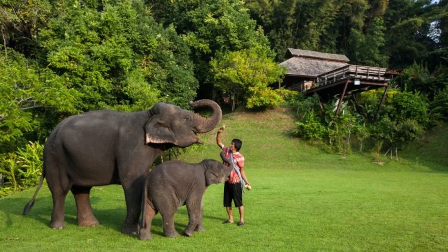 670㎡度假村 | 原生态木工作坊,Glenn Murcutt 式偏远地区建筑技巧-27