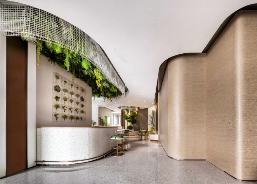 幻象森林,都市绿洲里的自然魅力-16