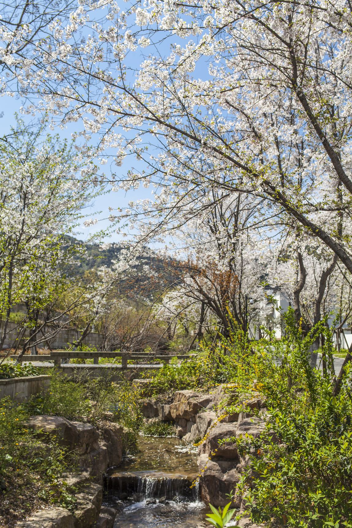 【JAYA】兰亭安麓度假酒店高清官方摄影-4