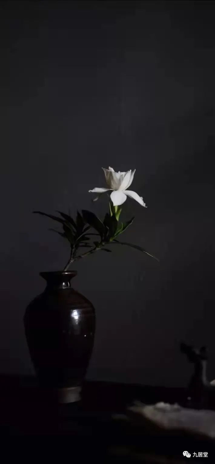 奢华与教养的分界 · 内心的奢侈丨中国-13