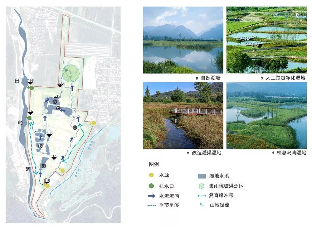 秦岭国家植物园田峪河湿地公园-70