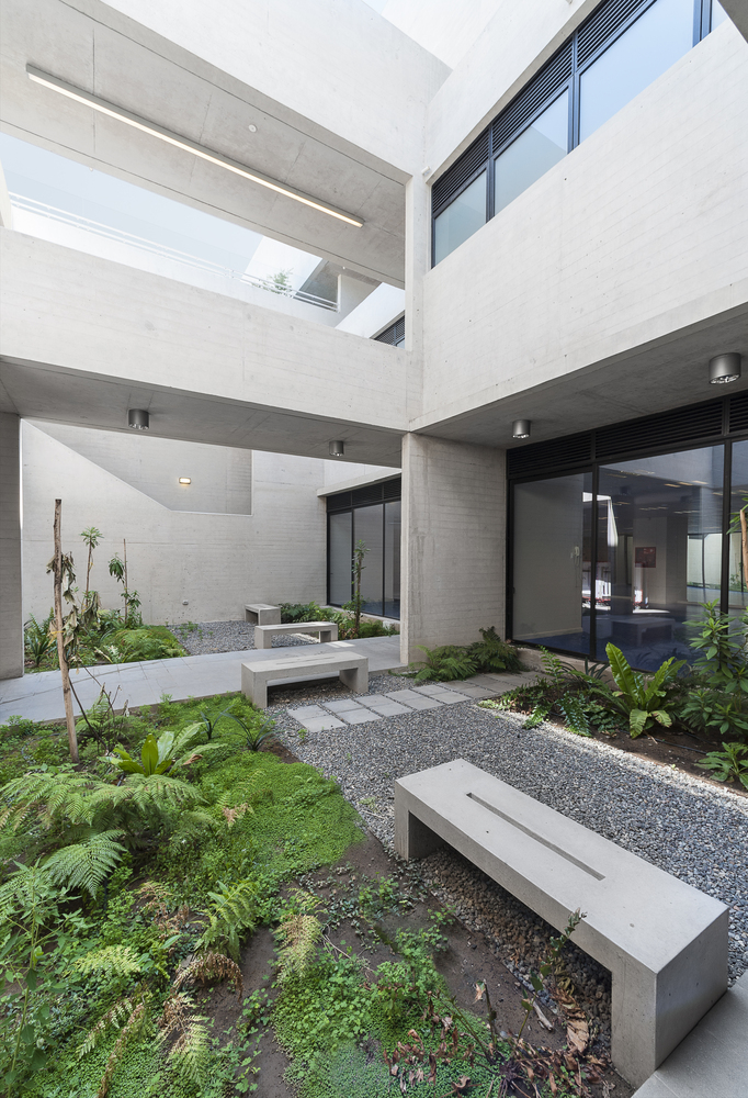 智利森林中的圣乔治学院体育馆-48