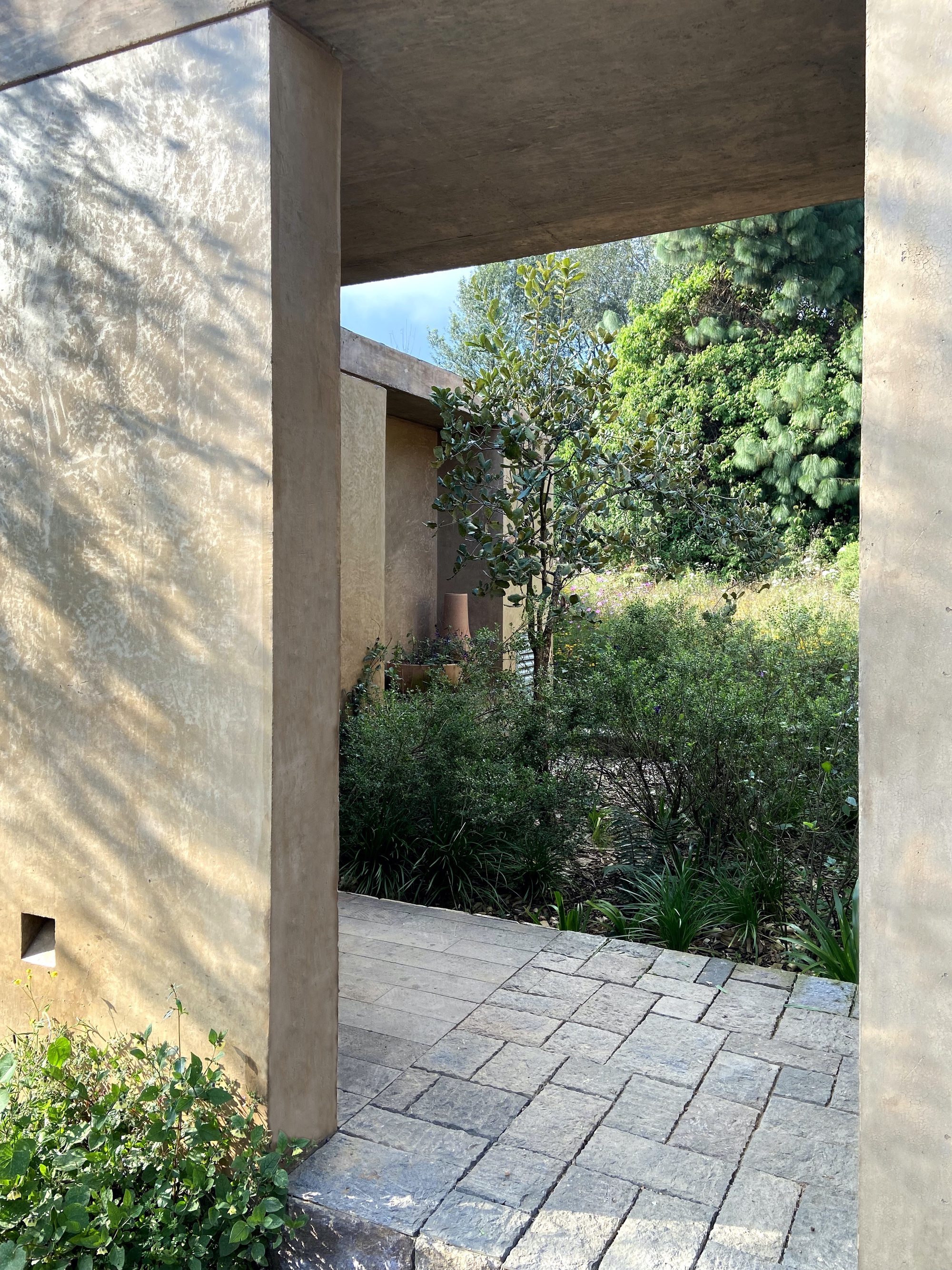 丨墨西哥丨Claudia Rodriguez,Louise Rouzaud-29