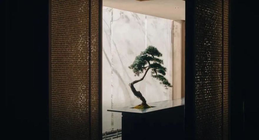 建发苏州檀府·禅意东方丨中国苏州丨矩阵纵横-16