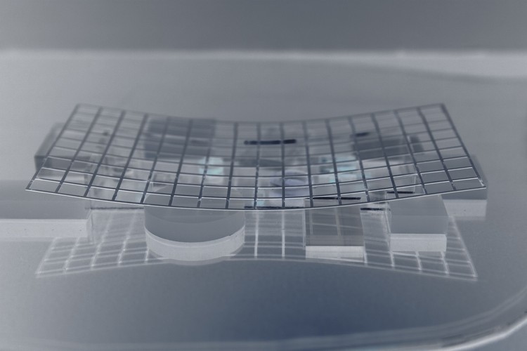 克莱芒·布朗谢建筑设计公司为法国硅谷家乐福设计的农业灵感研究中心-43