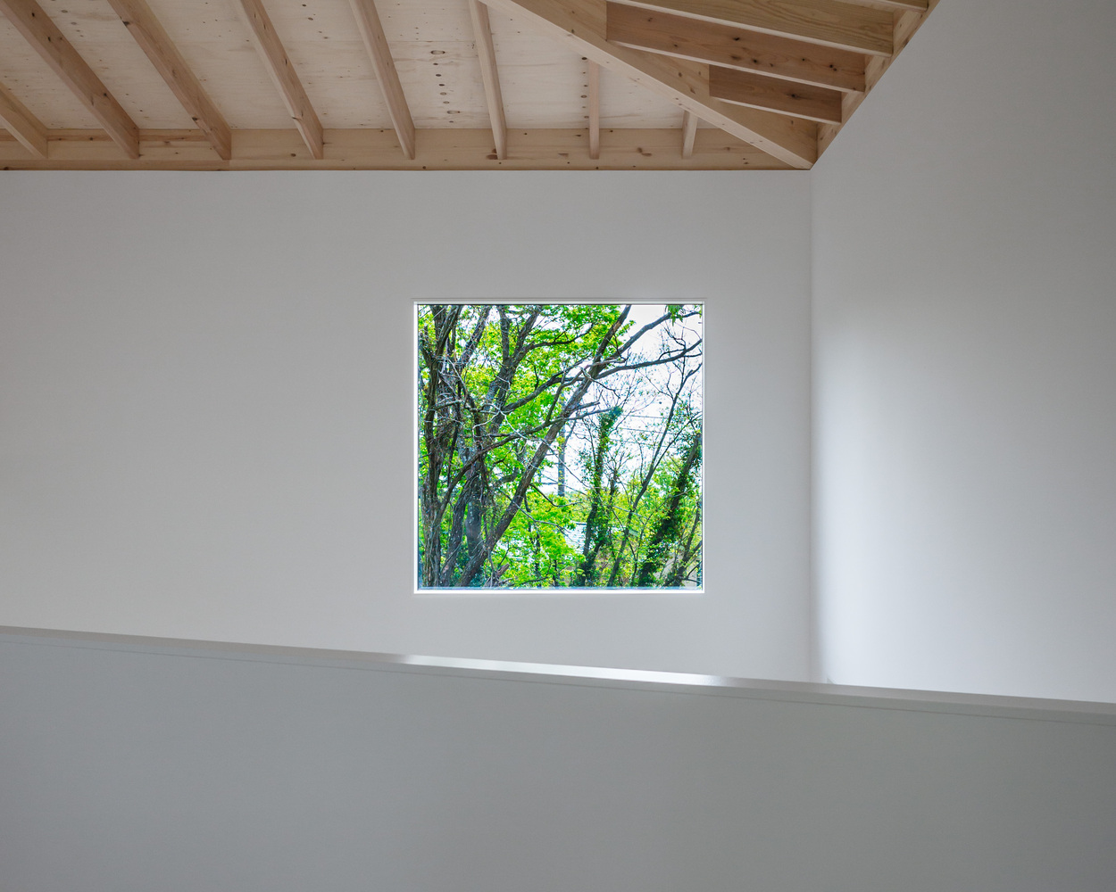 日本伊豆高原 I 住宅丨Florian Busch Architects-25