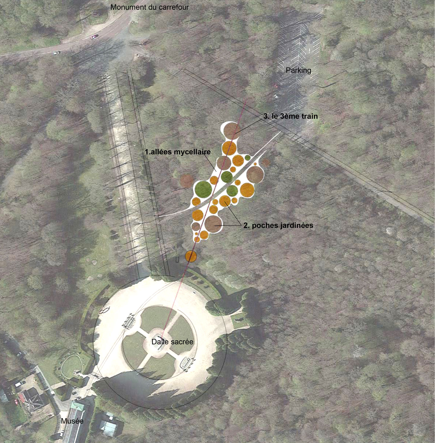 和平之园 · 一战遗址上的艺术冥想空间-36