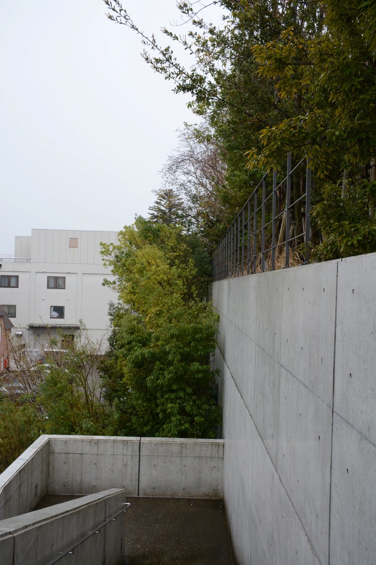 谷口吉郎·吉生纪念 金泽建筑馆丨日本丨谷口吉生-56