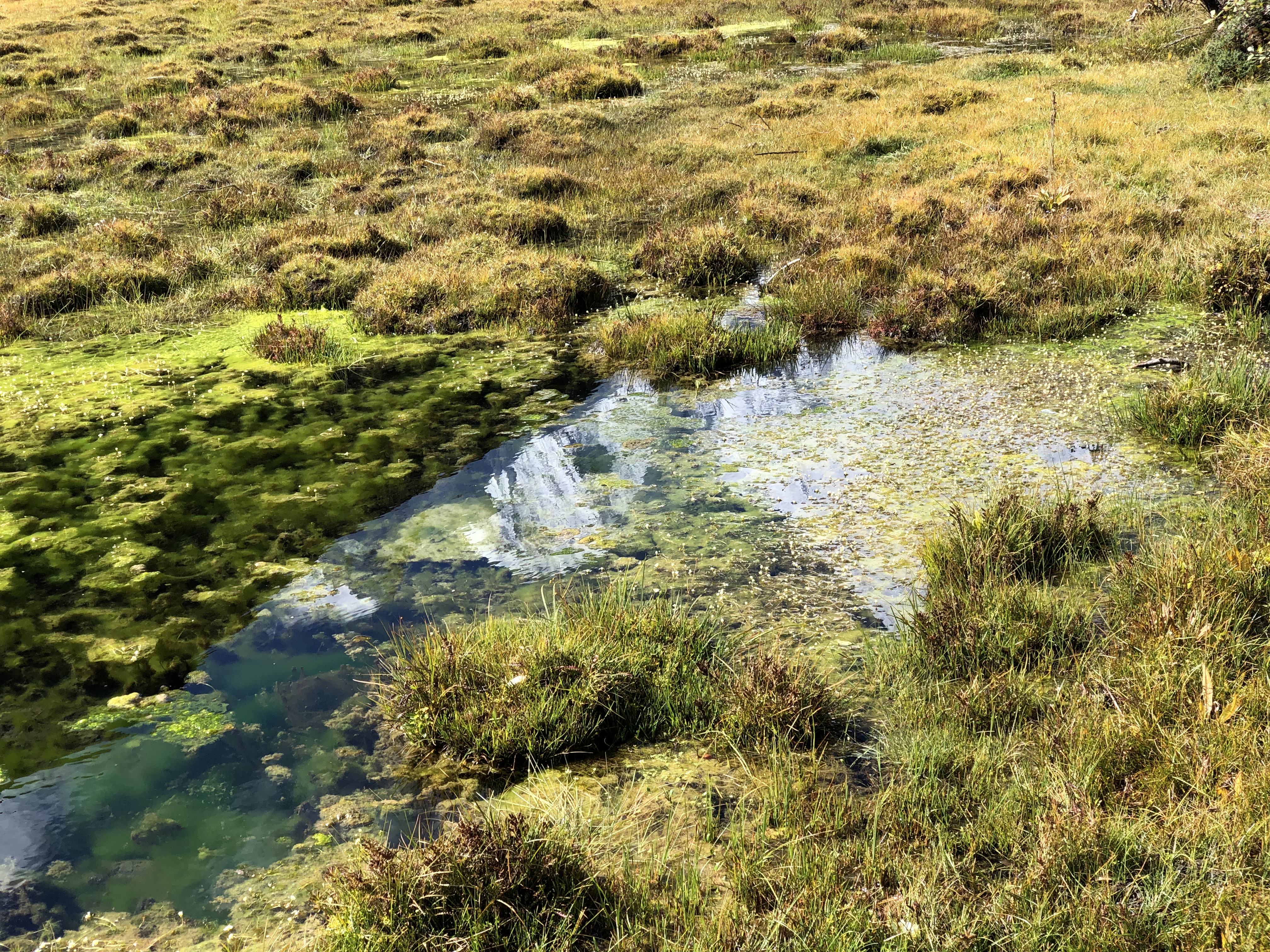 川西大环线相关设计项目（推测）丨也门亚丁-24