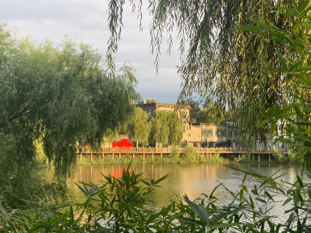 设计师的家|减法生活丨中国北京丨李斌-30