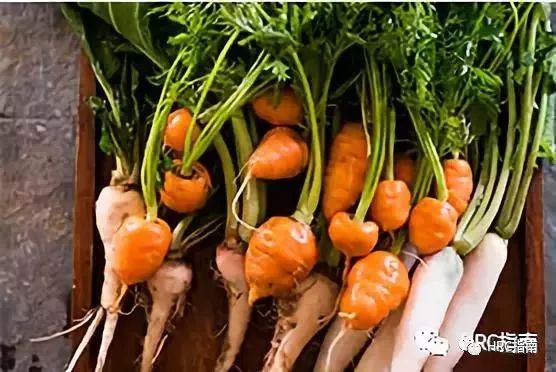 加勒比海岸线的浪漫豪奢 | 安提瓜半月湾瑰丽酒店预计将于2022年盛大启幕-7