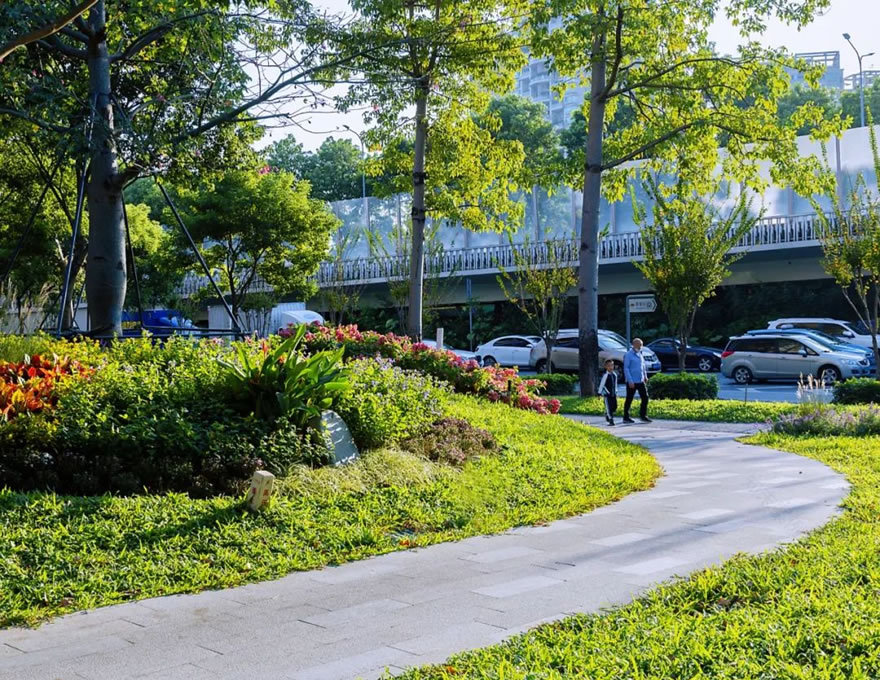 深圳福田侨香路景观提升丨中国深圳丨深圳文科园林股份有限公司-49