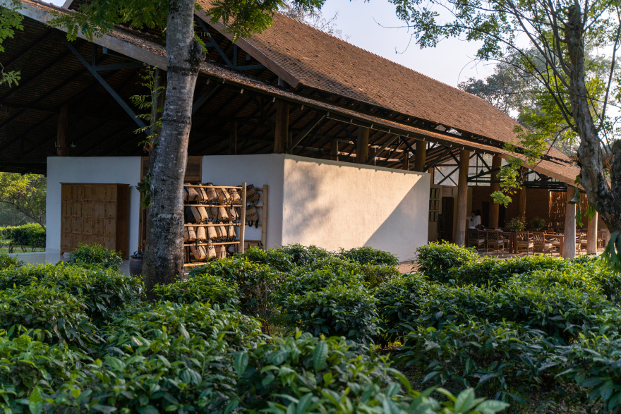 阿拉克萨茶馆丨泰国丨Simple Architecture-23