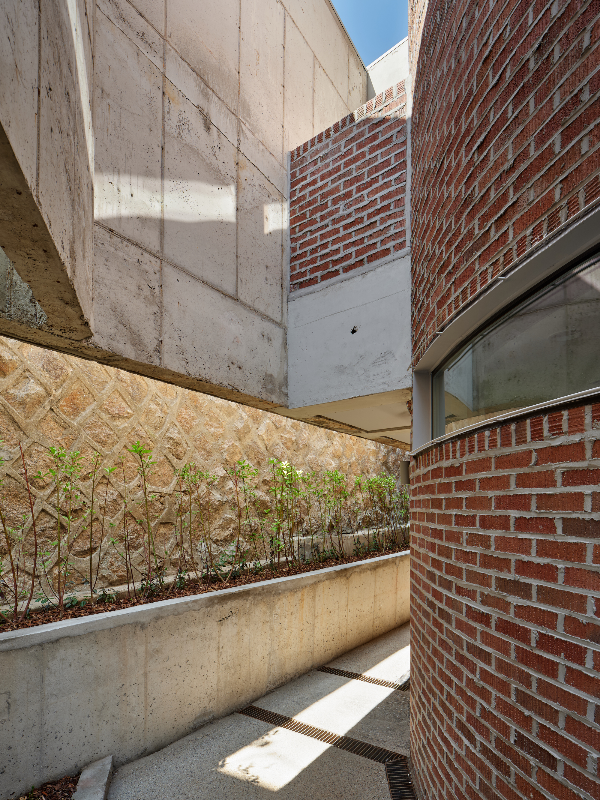 Alley in the House / FHHH FRIENDS-26