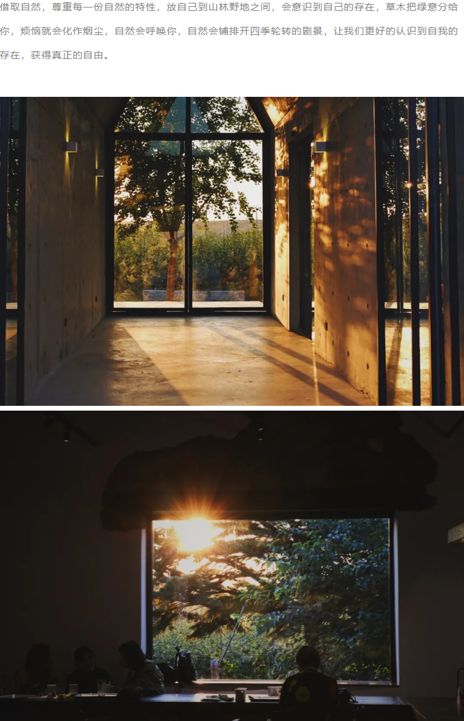 自然之韵 | 户粒咖啡的永智农场二期项目-5