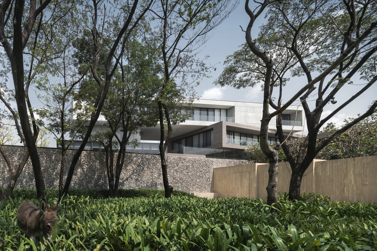 美国扭曲的房屋-8