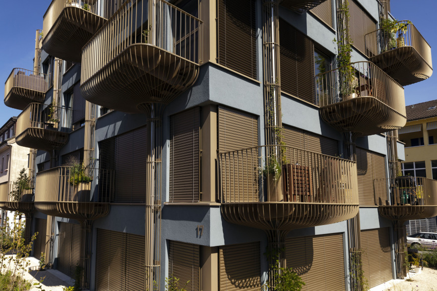 新林登花园大楼丨瑞士丨Volpatohatz-37