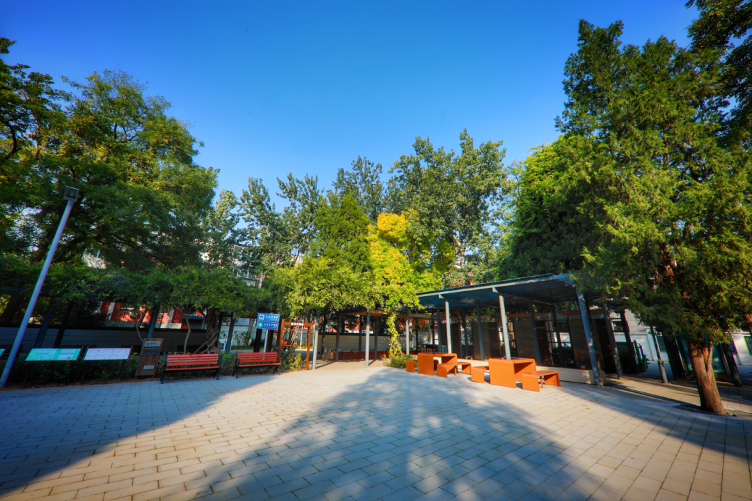 南馆公园及周边改造提升项目丨中国北京丨北林地景-25