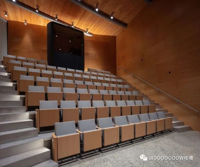 史蒂文·霍尔的冬季视觉艺术中心——融入自然的轻盈建筑-10