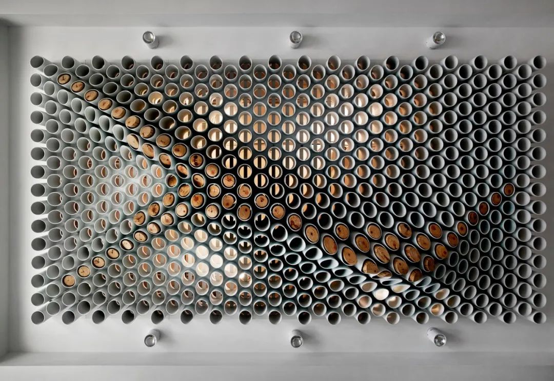 牙医诊所设计之美 · 阳光与曲线的交织-18