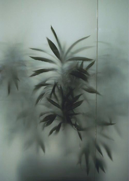 安迪餐厅酒吧丨俄罗斯鄂木斯克-14