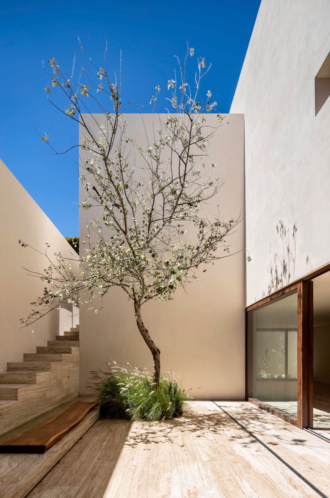 Sabino 10 住宅丨墨西哥丨Editorial-11