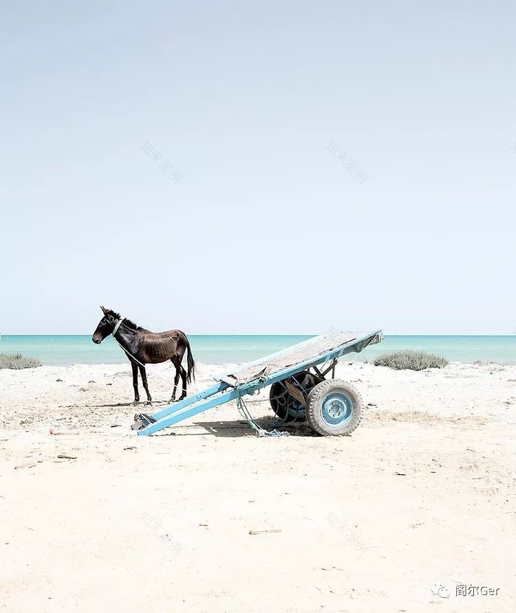 突尼斯游牧建筑的创意变奏-30