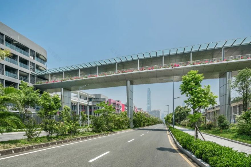 南山三桥 | 现代景观设计的人行天桥新篇章-70