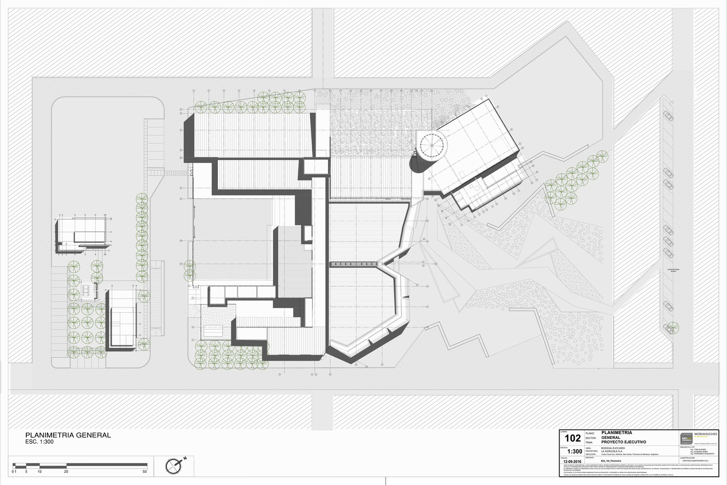 安第斯山脉下的葡萄酒奇迹-77