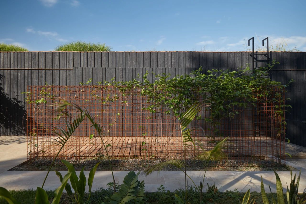 哥斯达黎加丛林中的艺术度假天堂-57