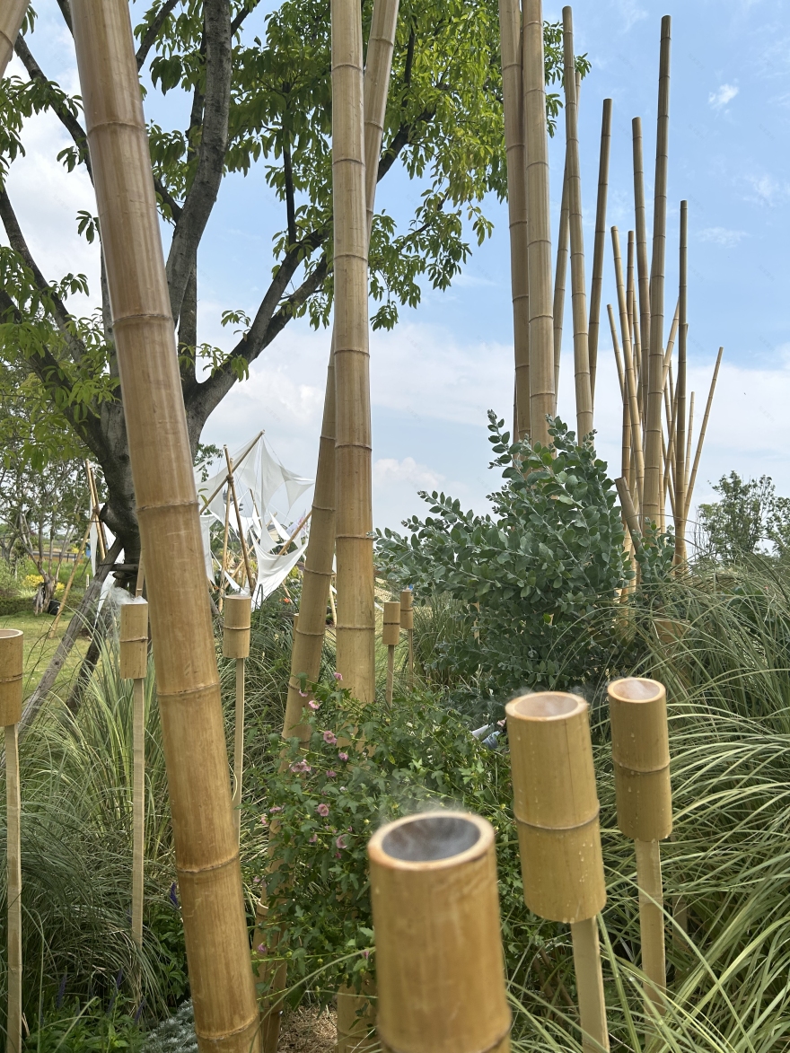 竹林丨中国成都丨Atelier Folie(北林风景建筑研究中心)-26