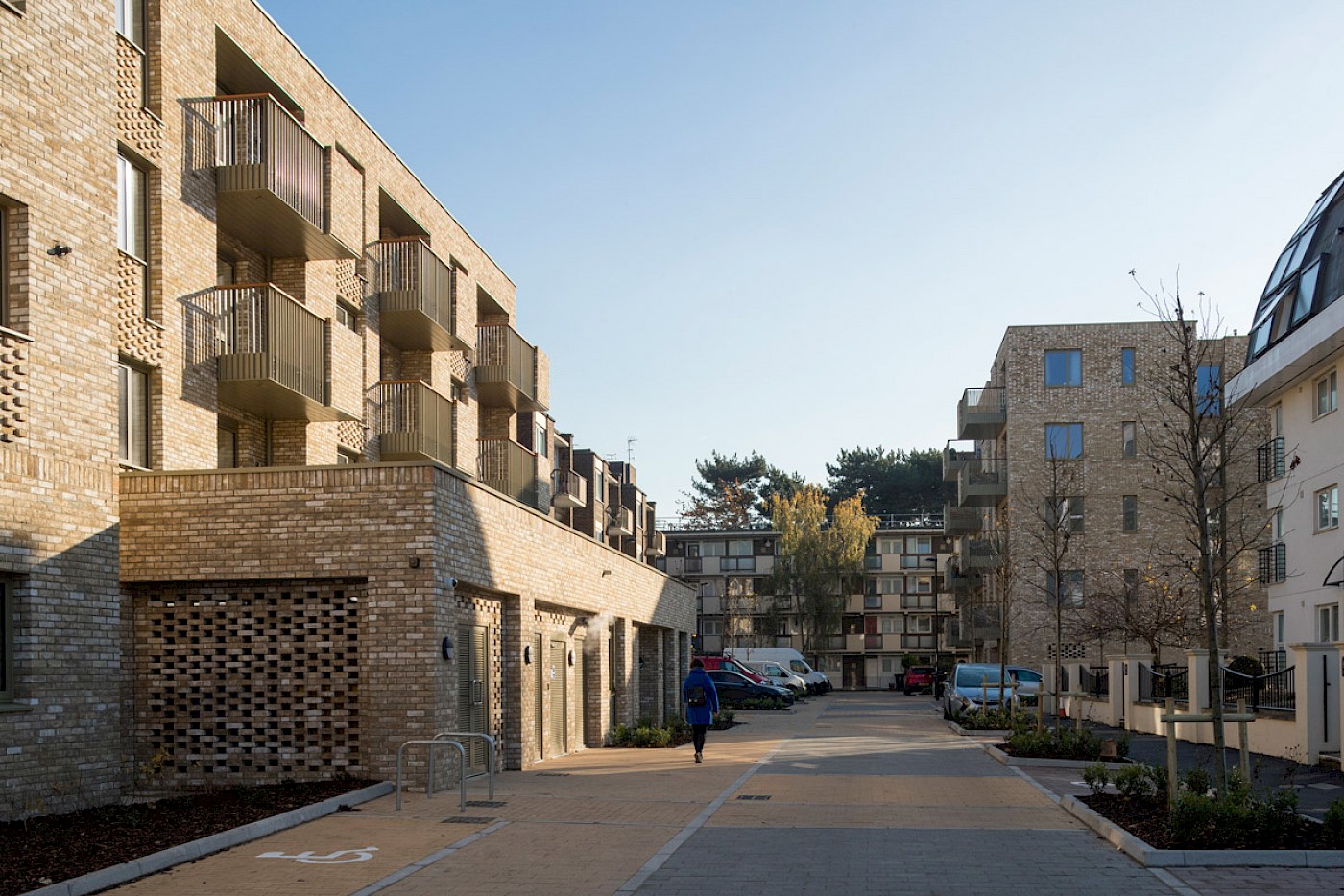 丨Levitt Bernstein-62