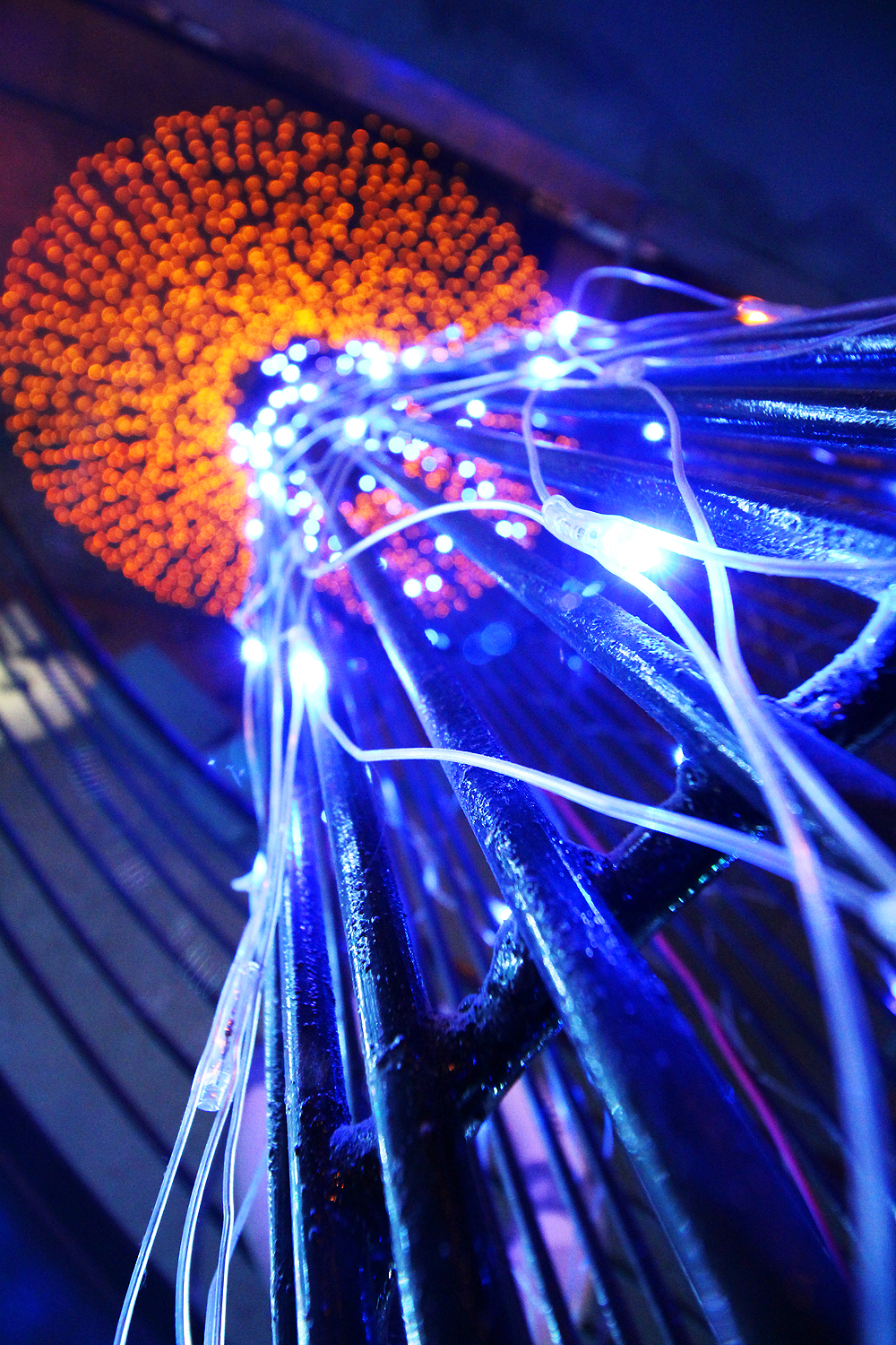 商丘菜鸟餐厅-12