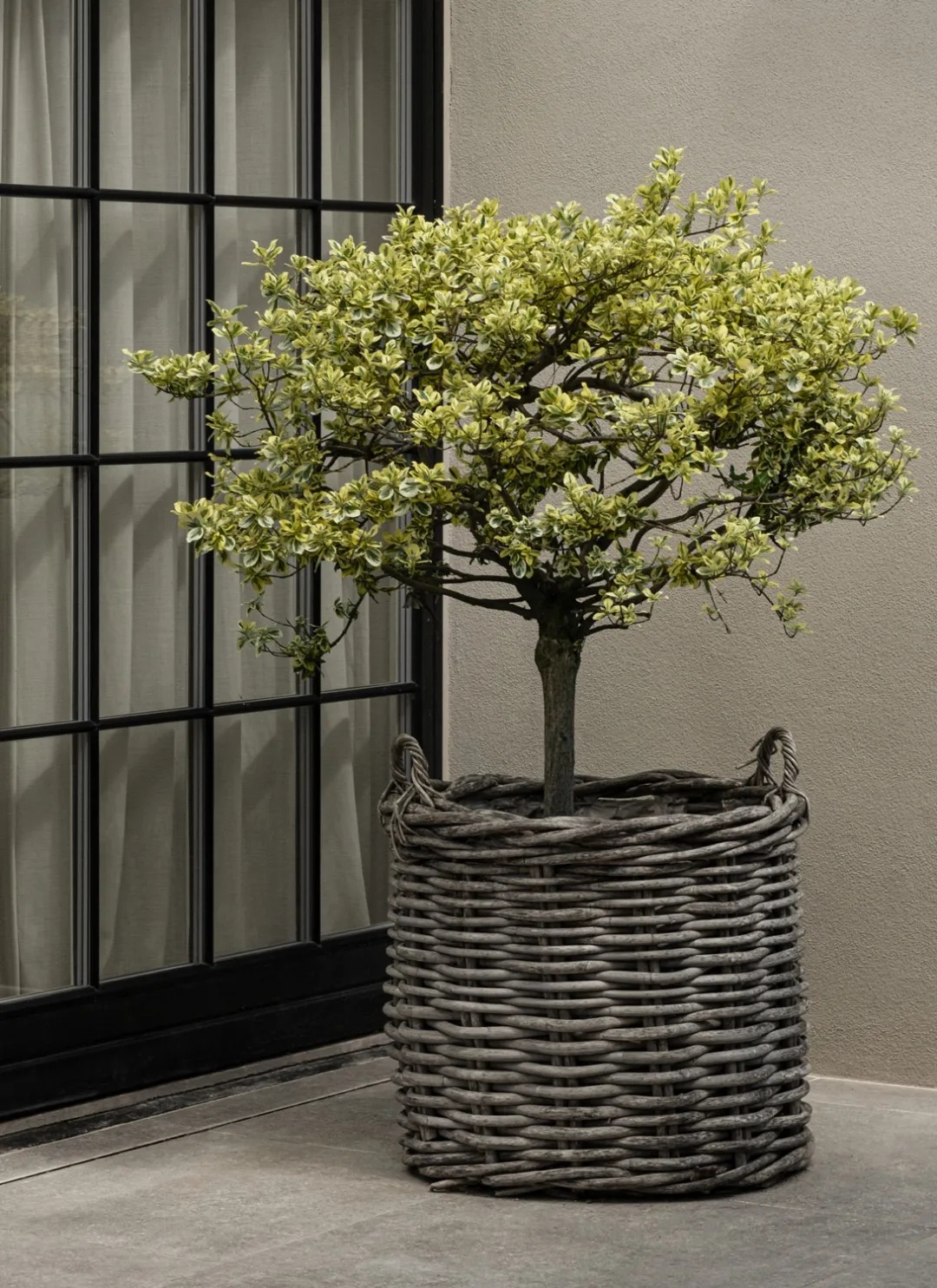 Strandgården原木色度假别墅丨丹麦丨诺姆建筑事务所-3