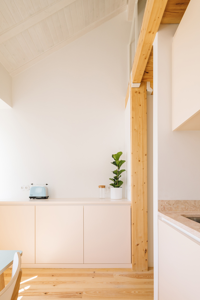 重塑 19 世纪建筑,打造 21 世纪居住空间-39