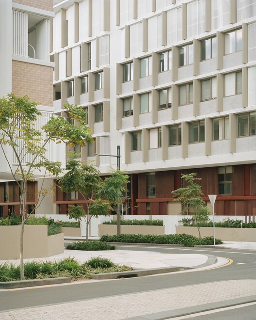 Botany Road 住宅区丨澳大利亚丨Candalepas Associates-17