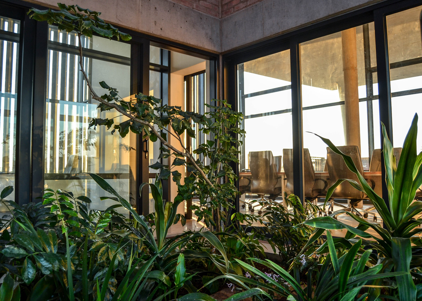 RBIDZ Entrance Gate  Jeremy Steere Architect-57