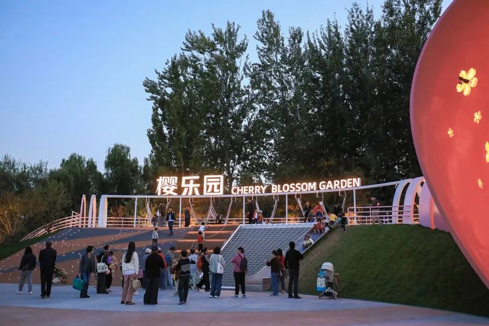 埊木设计｜花漾之境：北小河公园樱花谷环境改造提升设计-259