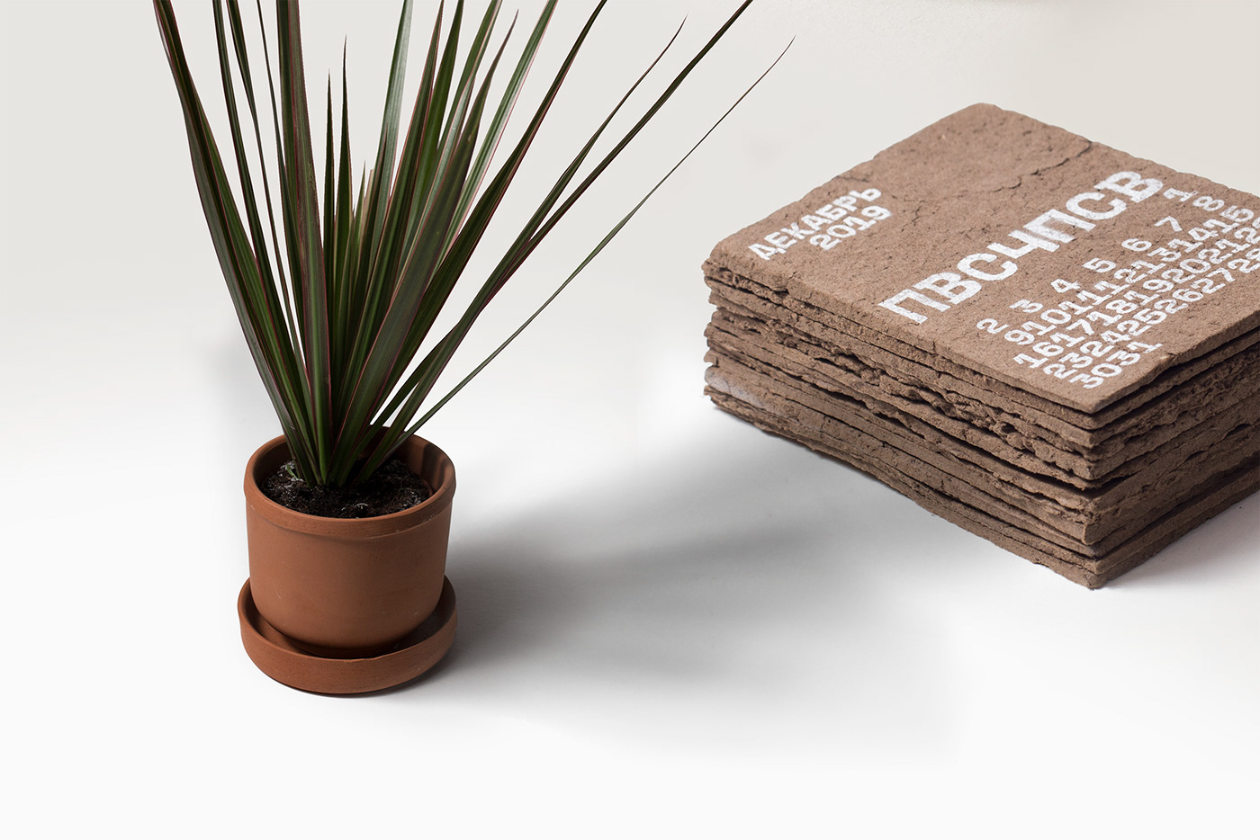 生物环保日历 · 为地球添绿-20