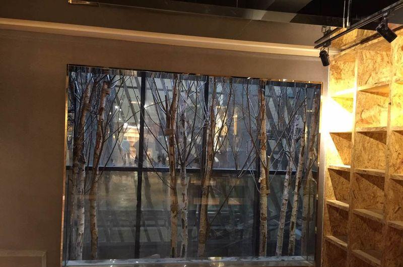 新华书店-仿真植物-1