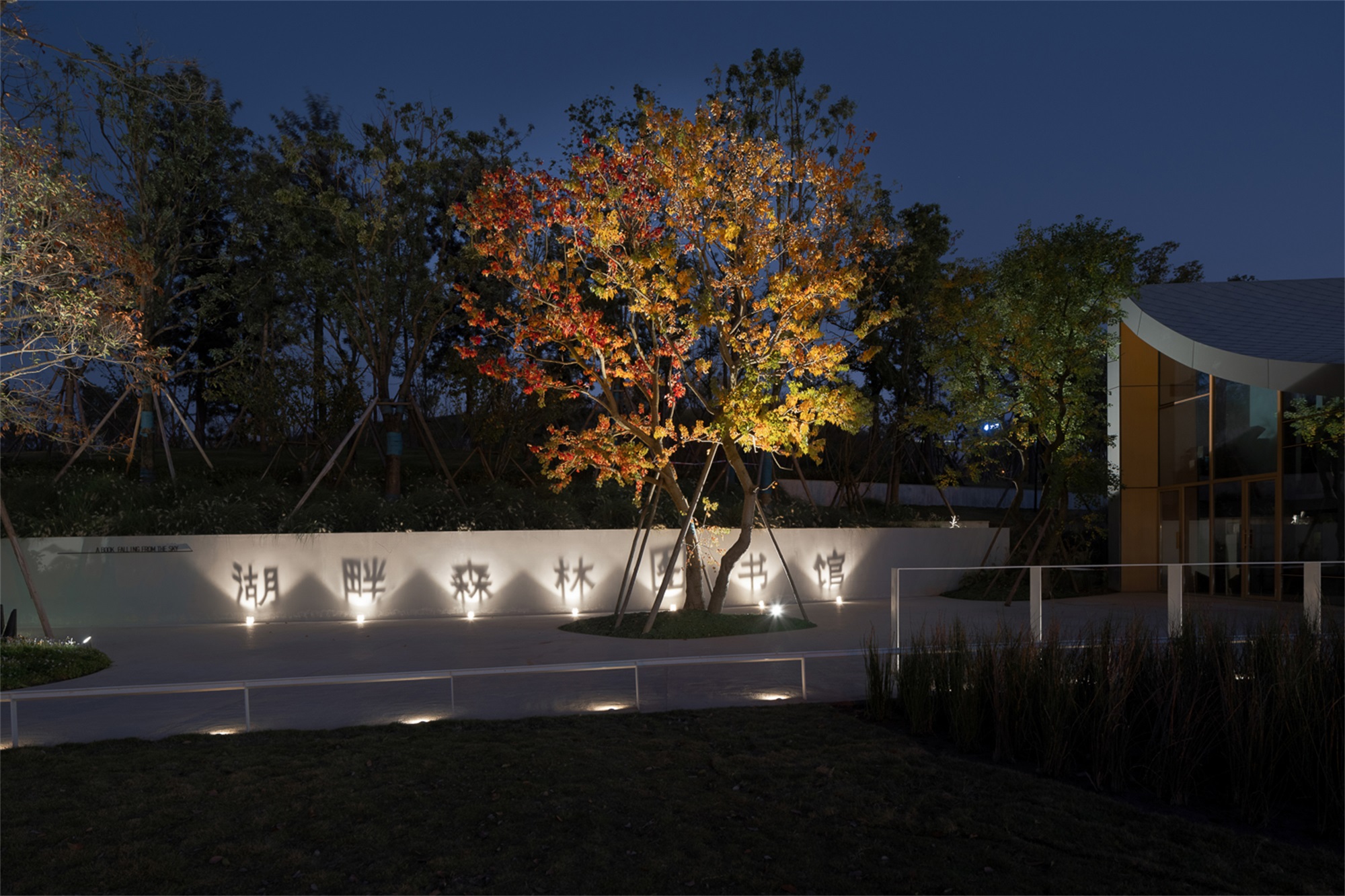 成都兴隆湖·湖畔森林图书馆丨中国成都丨昱道景观-48