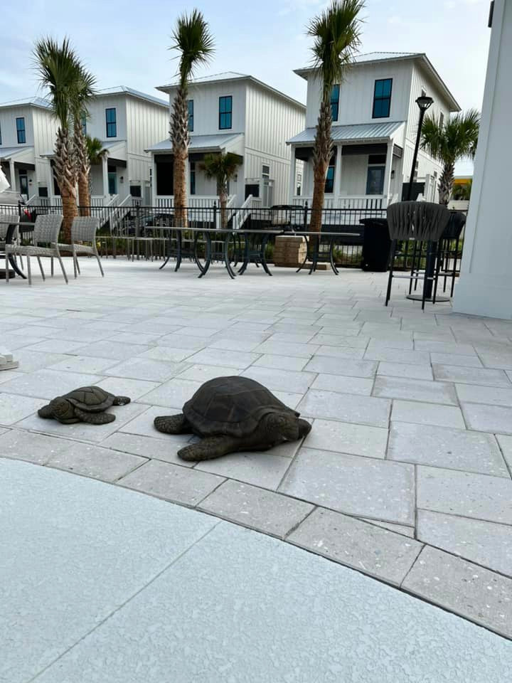 丨美国阿拉巴马丨Bob Chatham Custom Home Design-46