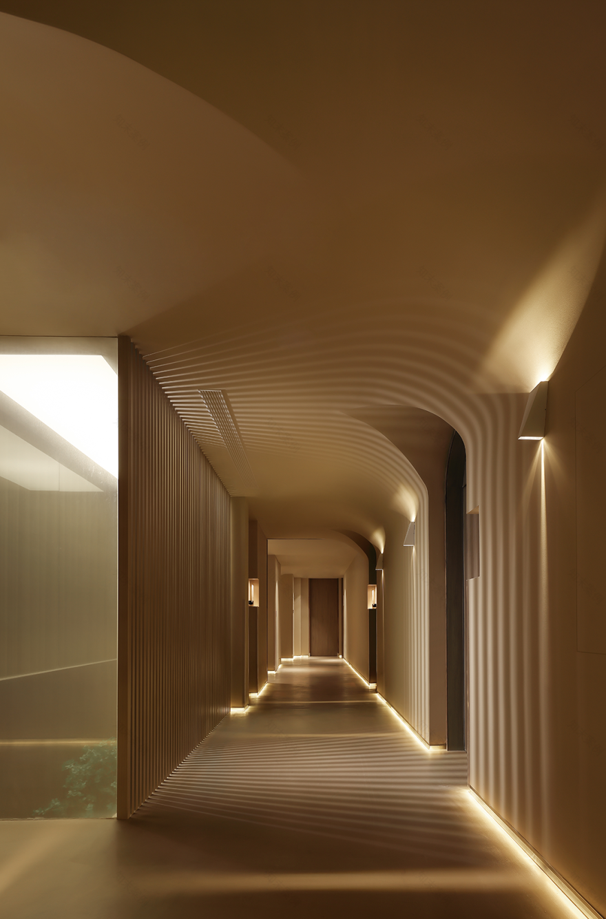 【新作】大象未来丨BAONA SPA-75