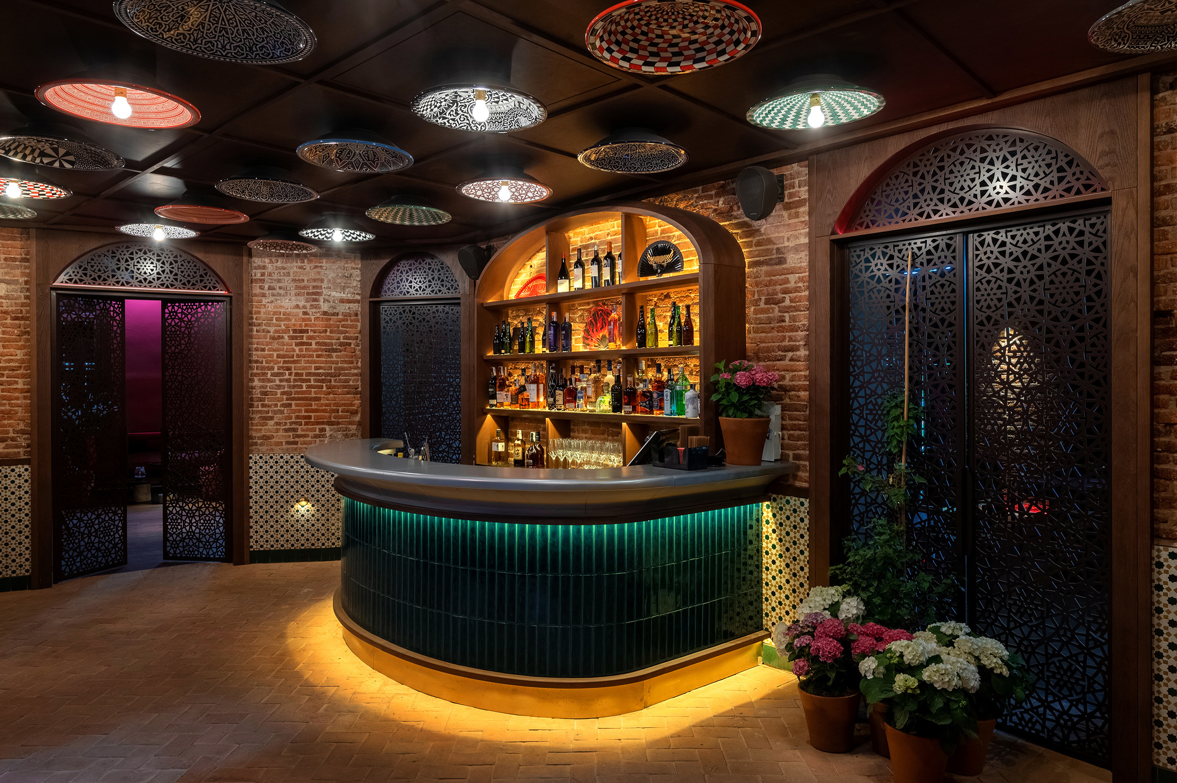 Flamenco de Leones-3