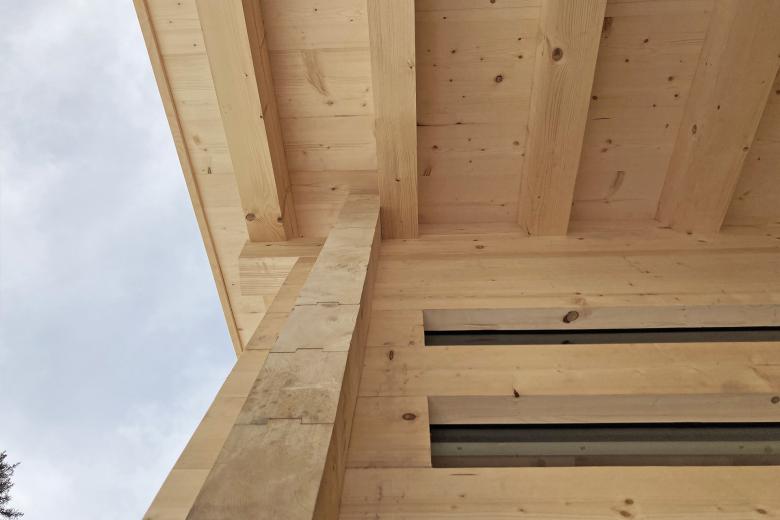 SALVINI RÜEGSEGGER ARCHITEKTEN丨Neubau Alphütte Surselva丨瑞士-6