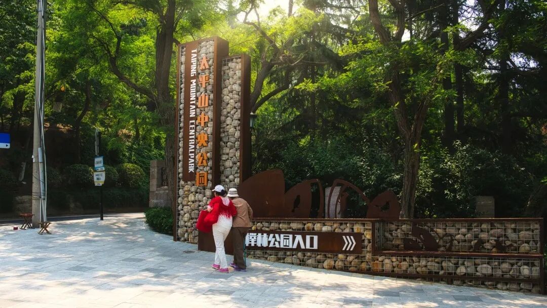 百姓乐园：榉林山焕新归来，悦享自然人文之美-25