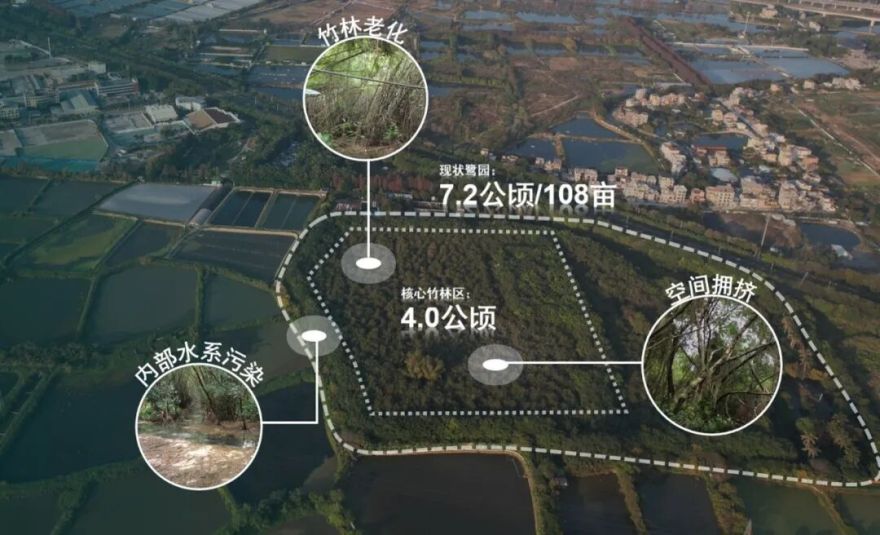 顺德鹭鸟湿地片区景观规划丨中国佛山丨AECOM-12