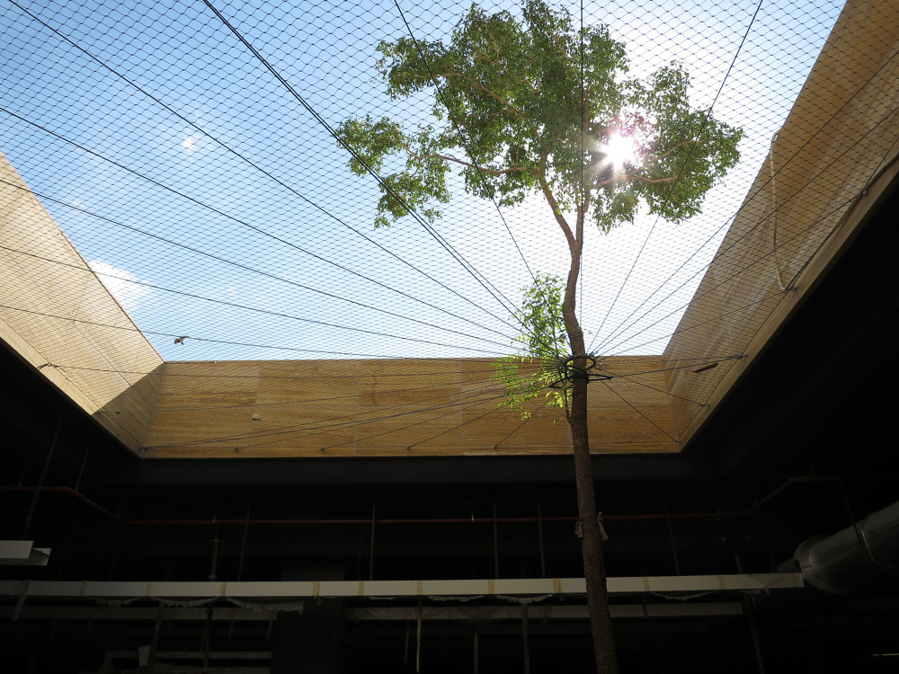 卡塔尔基金会总部·绿色生态的空中花园-9