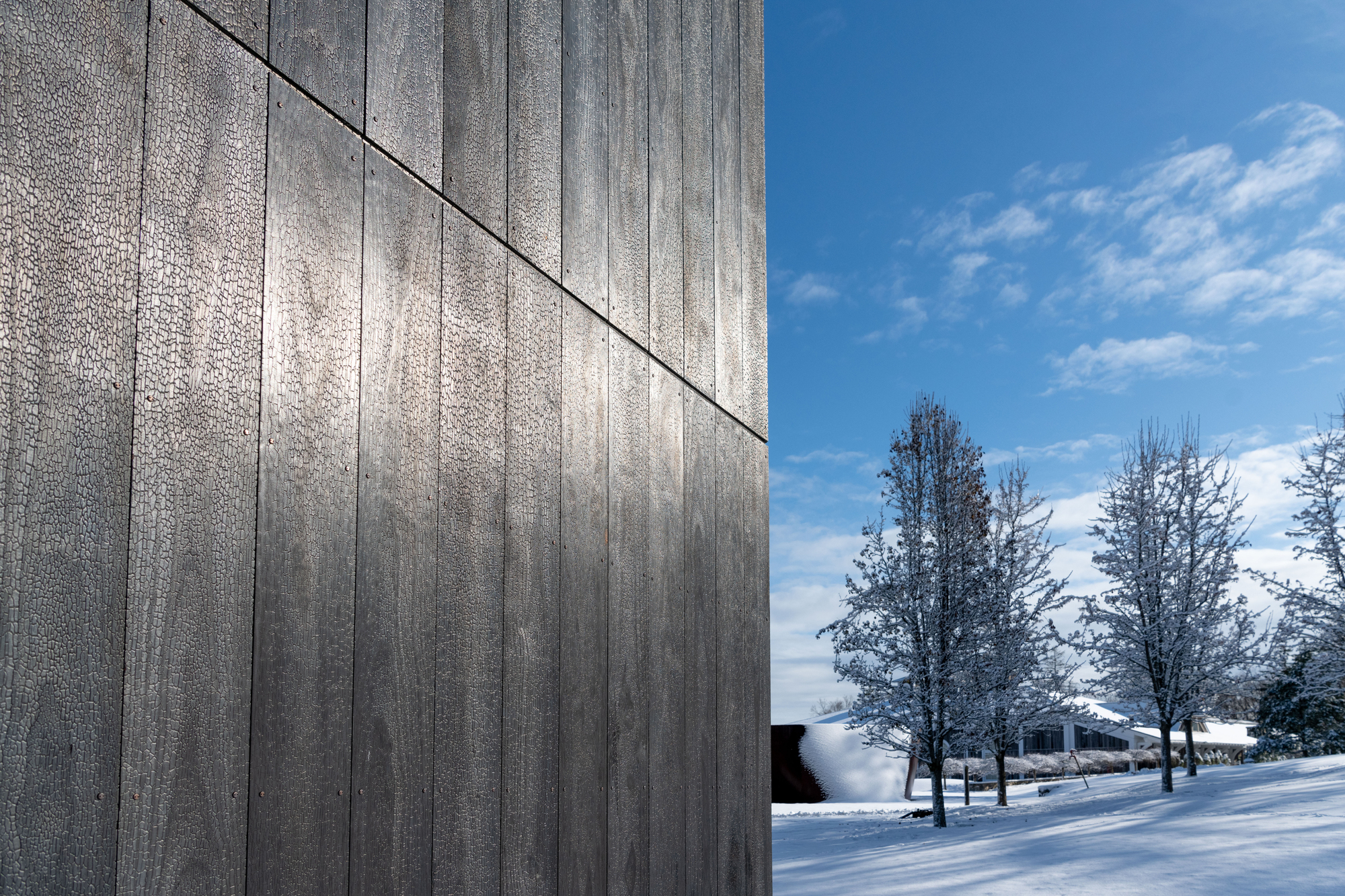 LX 展馆丨美国丨OLI Architecture PLLC-28